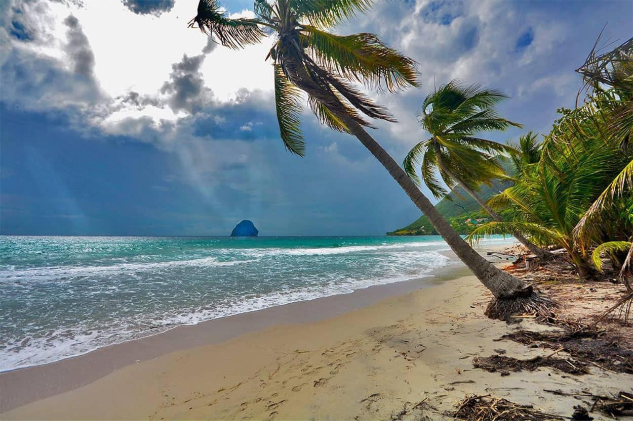 Malilia Beach A Sainte-Anne - Wifi -5 Min A Pied De La Plage 외부 사진